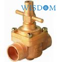 Globe Valve