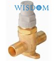 Capped Valve