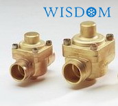 Plugger Check Valve
